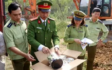 Lào Cai tiêu hủy hơn 8,5 tấn bánh kẹo, đồ chơi trẻ em nhập lậu
