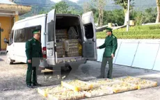 Kiểm soát việc vận chuyển gia cầm qua biên giới