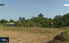 Chuyển đổi cơ cấu cây trồng, vật nuôi để ứng phó với hạn mặn