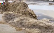 Xác định nguyên nhân khiến nước biển ở Dung Quất đổi màu cà phê