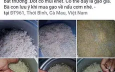 Cà Mau: Thông tin gạo giả trên mạng xã hội là sai sự thật