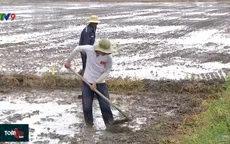 Dự báo thiên tai dài hạn giúp hạn chế rủi ro trong sản xuất