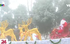 Khu rừng tuyết châu Âu ngay tại Ba Vì