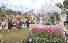 Thỏa mãn nhu cầu du lịch ngắm hoa