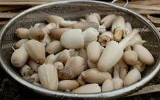 Gần Tết nấm rơm tăng giá mạnh
