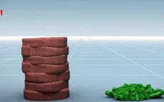 Thu hồi sản phẩm thịt bò xay do nguy cơ chứa nhựa