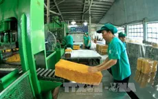 Giá cao su tăng vì thiếu hụt nguồn cung