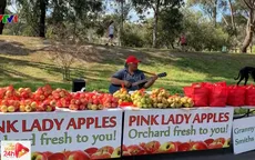 Chợ trời La Trobe - Điểm tham quan thú vị tại Melbourne, Australia
