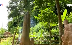 Khám phá cột đá linh thiêng của đồng bào Cơ Tu