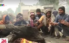 New Delhi trải qua mùa Đông lạnh nhất trong một thế kỷ