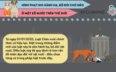 Hình phạt khi hành hạ, bỏ đói chó mèo ở một số nước trên thế giới