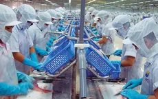 Ngành thủy sản lao đao với quy định mới từ EU