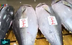 Xây dựng nhãn sinh thái cho cá ngừ Việt Nam