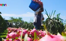 Gần 70% rau quả Việt Nam xuất khẩu sang Trung Quốc