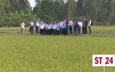Tặng bằng khen Bộ trưởng Bộ NN-PTNT cho tác giả giống lúa ST25