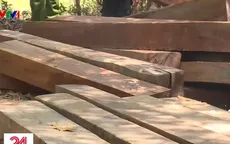 Phát hiện nhiều điểm tập kết gỗ ở rừng đặc dụng Nam Kar, Đắk Lắk