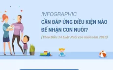 Cần đáp ứng điều kiện nào để nhận con nuôi?