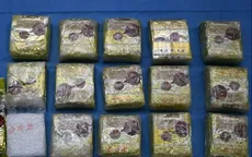 Australia buộc tội 3 đối tượng trong vụ buôn ma túy lớn kỷ lục
