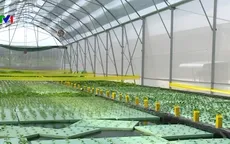Kinh tế tuần hoàn là chìa khóa để phát triển bền vững toàn diện