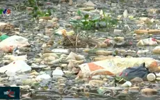 Chuyển biến tích cực tại điểm nóng của rác thải thuốc bảo vệ thực vật