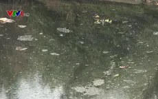 Hàng nghìn hộ dân sống chung với dòng sông ô nhiễm