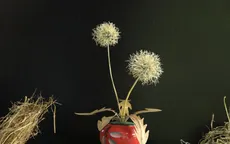 Người thổi hồn vào rơm