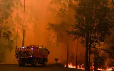 Gần nửa tỷ động vật bị chết trong cháy rừng ở Australia