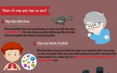 [Inforgraphic] Bếp than tổ ong - Sát thủ vô hình