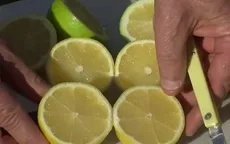California (Mỹ) đẩy mạnh trồng chanh không hạt