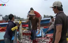 Niềm vui từ chuyến biển đầu năm đầy ắp cá tôm