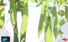 Độc đáo không gian làng quê giữa thành phố biển Nha Trang