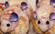 Độc đáo mỹ nghệ làm từ vỏ ốc