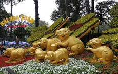 Tết Kỷ Hợi từ khóa được tìm kiếm nhiều nhất của người Việt trong tuần qua