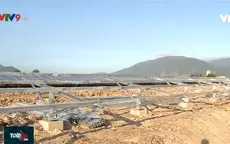 Phát triển năng lượng tái tạo - Bước đột phá của Ninh Thuận