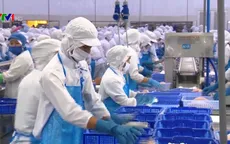 Ngành thủy sản với mục tiêu xuất khẩu năm 2019 đạt 10,5 tỷ USD