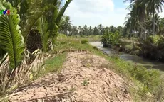 Đê bao thủy lợi vừa nghiệm thu đã hỏng