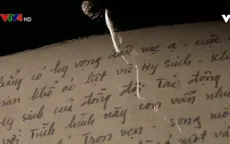 Tuổi xuân anh gửi miền biên giới