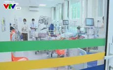 TP.HCM: 9 trường hợp tử vong do sốt xuất huyết