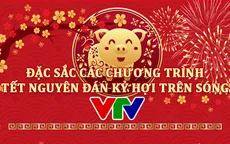 [INFOGRAPHIC] Đặc sắc các chương trình Tết Nguyên đán Kỷ Hợi 2019 trên sóng VTV