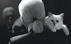 Choáng chưa! Con mèo của Karl Lagerfeld có thể sẽ được thừa kế 150 triệu bảng Anh