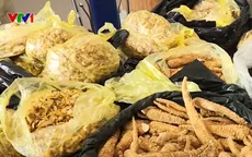 Lật tẩy thủ đoạn lừa đảo bán thuốc đông y tại khu di tích Tây Thiên