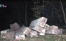 Đắk Lắk: Truy tìm các đối tượng liên quan đến bãi tập kết gỗ "khủng"