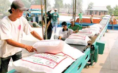 Xuất khẩu chính ngạch 100.000 tấn gạo sang Trung Quốc