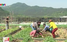 Nông sản tươi Hàn Quốc chuẩn bị tràn vào thị trường ASEAN