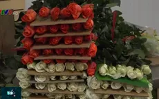 Giảm ít nhất 30% sản lượng hoa hồng Đà Lạt dịp 8/3