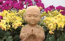 Lễ hội hoa xuân Bái Đính 2019