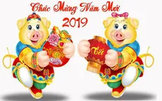 Những câu chúc Tết thú vị để nhắn tin chúc Tết Kỷ Hợi