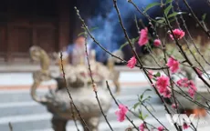 Chùm ảnh: Không khí yên bình sáng ngày đầu năm mới Kỷ Hợi 2019