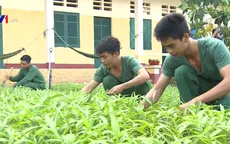 Tết giản dị của các chiến sĩ trên đảo Hòn Khoai