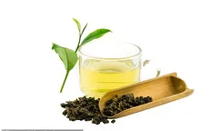 Chiết xuất từ trà ô long có thể chống lại bệnh ung thư vú